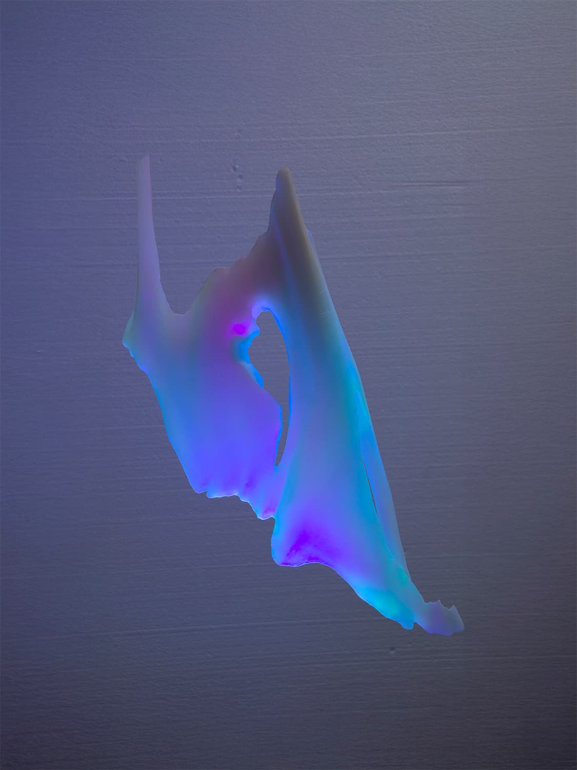 Aurora - product image