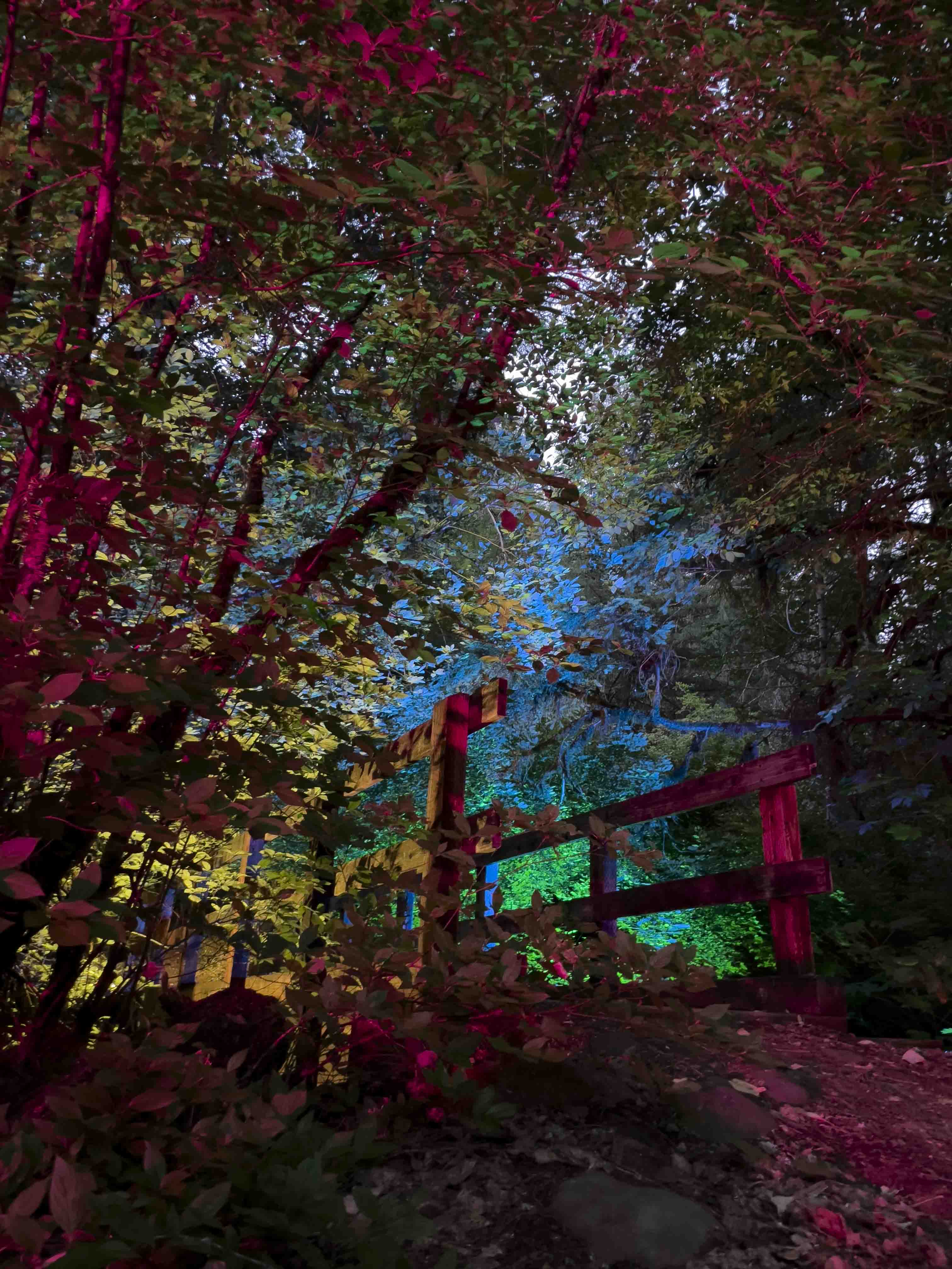 Butterfly Valley: The Bridge - product image 1
